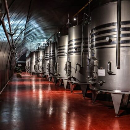 Priorat DOCa 2019 — Carignan Syrah